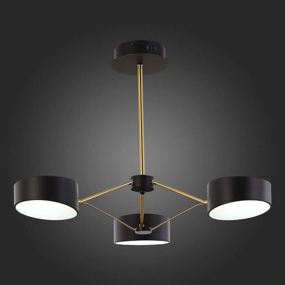 Люстра на штанге EVOLUCE Valle SLE6005-402-03