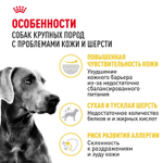 Royal Canin Maxi Dermacomfort Корм сухой для взрослых собак крупных размеров 3кг