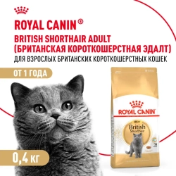Royal canin british shorthair сухой корм для взрослых кошек породы британская короткошерстная - 400 г