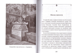 Под сенью Благодати. Непридуманные истории чудес Саровской обители. Священник Петр Поляков