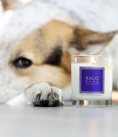 Пудровый детокс, ароматическая свеча, Bago home