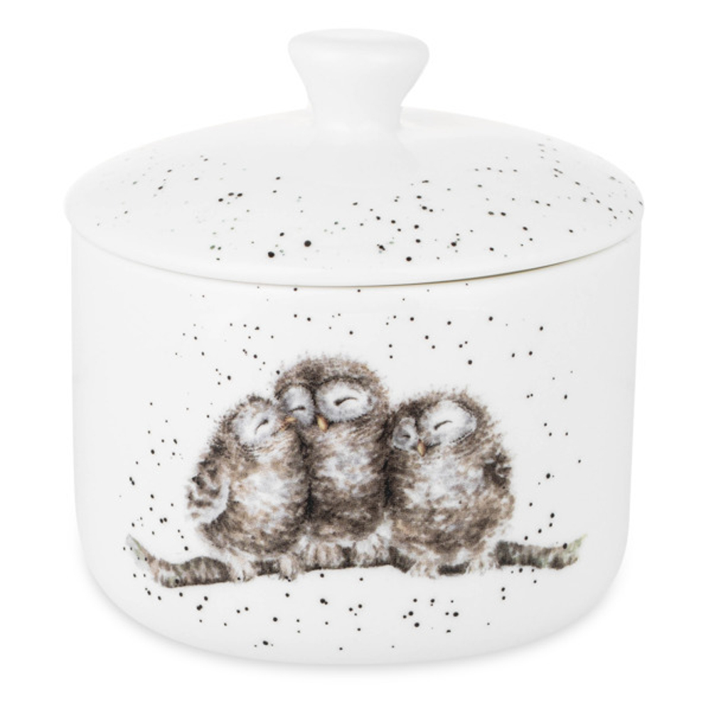 Банка для хранения с крышкой 9.5х10см Royal Worcester Забавная фауна Совы