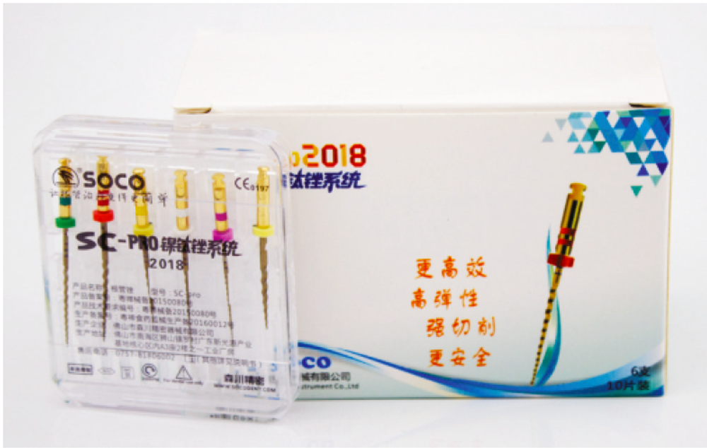 Файлы машинные с памятью формы SC-Pro 2018