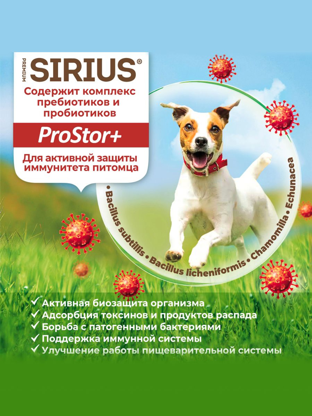Сухой корм Sirius для взрослых собак малых пород с говядиной и рисом, 2 кг