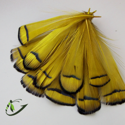 Шейные перья алмазного фазана Amherst Pheasant Tippets (10 шт)