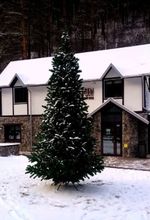 Большая елка «Рублевская» (пвх) от 3 до 8 м