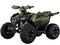 Квадроцикл FXMOTO Tank 125