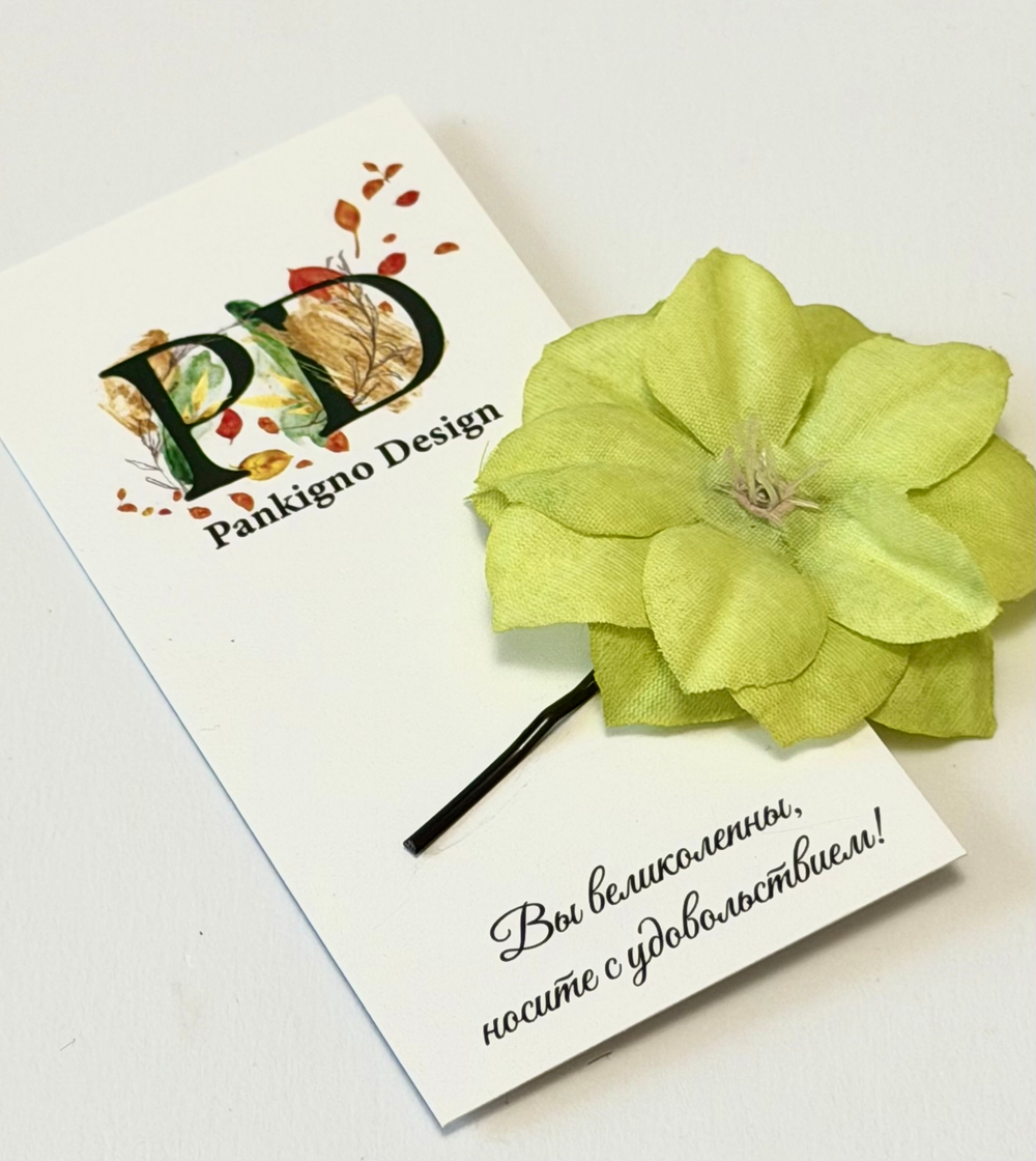 Невидимка Pankigno Design "Звезда"