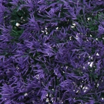 Искусственное растение шар «Самшит» цветы фиолетовые D-34см Ultramarine