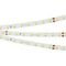 Светодиодная лента Arlight 6W/m 80Led/m 2835SMD теплый белый 50M RT-A80-8mm 24V Warm2700 024526(2)