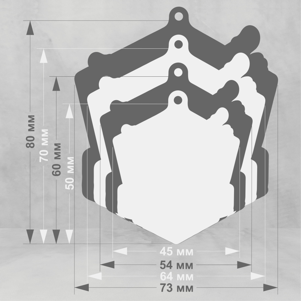 Акриловая медаль Греко-римская борьба 1755-050
