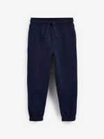 Джоггеры для мальчика Next T16-756, Темно-синий