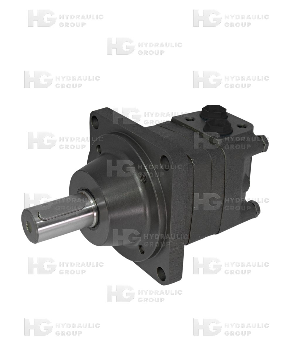 Гидромотор героторный MSW 200 C/4