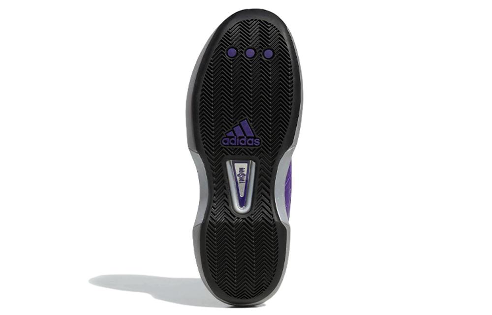 Кроссовки Adidas Crazy 1 "Regal Purple"