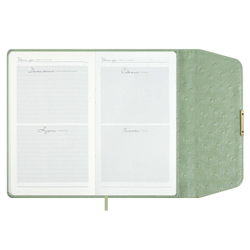 Ежедневник недатированный ESCALADA, А5, 160 л., арт. 70669/ 15 СТРАУС ОЛИВКОВЫЙ (кожзам: 126х211 мм, твёрдый переплёт, материал обложки: искусственная кожа "Страус"; способ крепления блока: ниткошвейный; декор: металлический шильд с декоративной мета