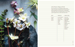 Seasonal Flower Arranging