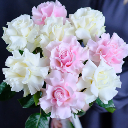 Купить Розы французские микс от 9шт