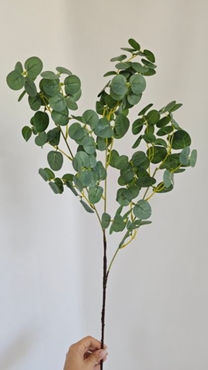 Эвкалипт / Арт 3066