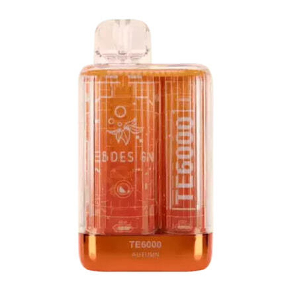 Elf Bar TE6000 - Autumn (5% nic)
