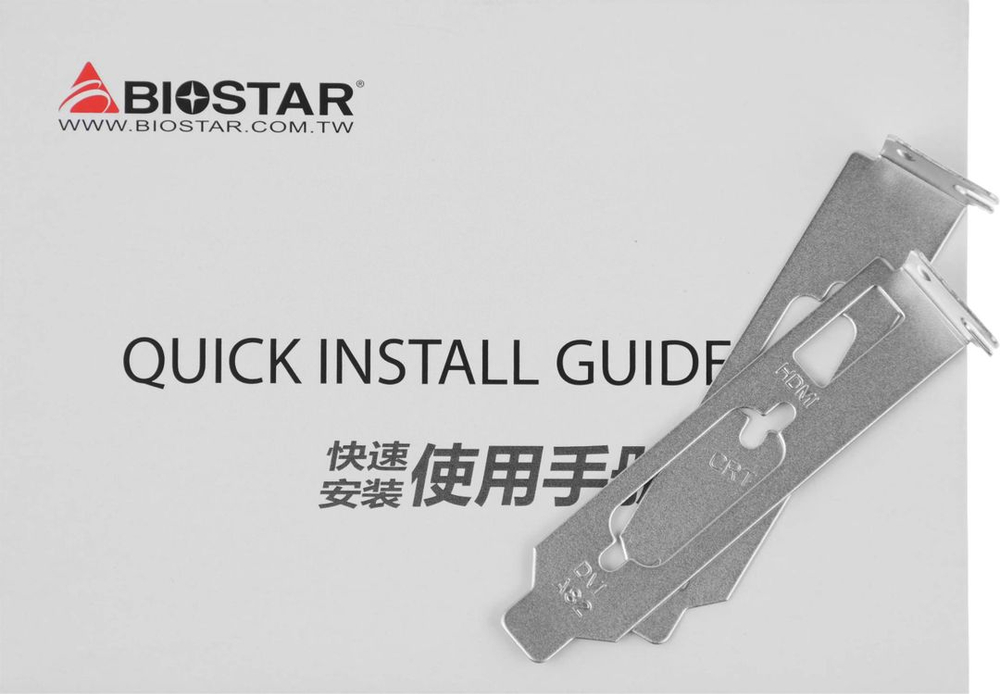 Видеокарта Biostar NVIDIA  GeForce GT 730 VN7313THX1 2ГБ GDDR3, Low Profile,  Ret