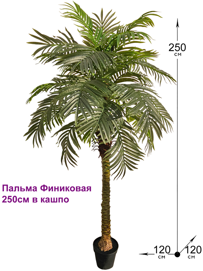 Пальма Финиковая искусственная 250см в кашпо