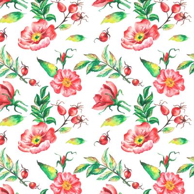 Акварельные цветы и ягоды шиповника