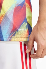 Футболка adidas Arsenal FC 25/26 Pre-Match - многоцветный