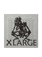 Бандана Paisley