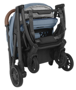 Прогулочная коляска UPPAbaby MINU V2 Charlotte