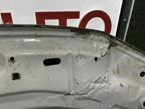 Капот Nissan Terrano 3 (2014-2022)