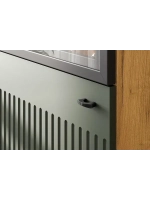 Шкаф-витрина Черный 50х41х191