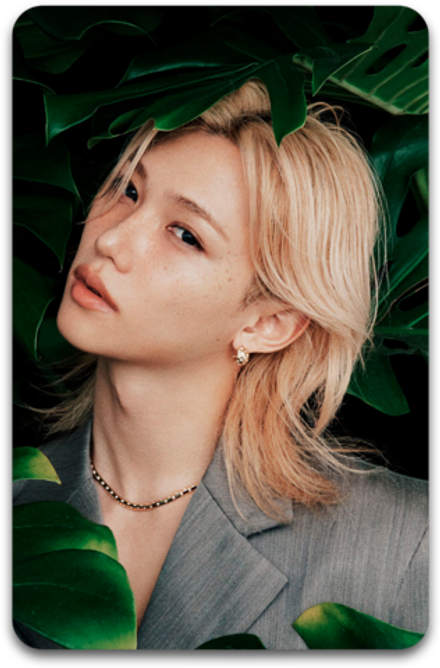 Карта / STRAY KIDS #5204