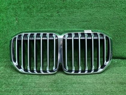 Решетка радиатора BMW X7 G07 (2019-2022)
