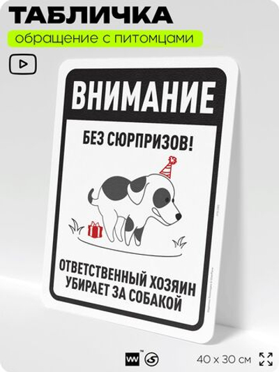 Табличка "Без сюрпризов! Ответственный хозяин убирает за собакой" на дверь и забор, для двора, дома, подъезда, 40х30 см, Silver Plane x Айдентика Технолоджи