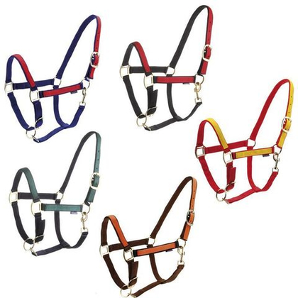 DASLO Недоуздок нейлоновый Roma двухцветный FULL