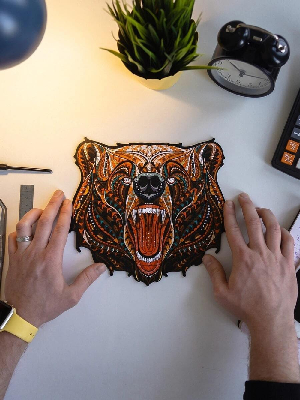 Сказочный медведь Chapa - Деревянный пазл, детали разной формы, голова медведя