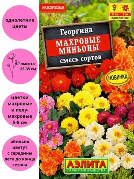 Георгина Миньон смесь 0.3гр