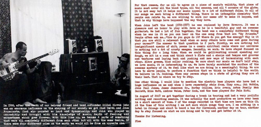 Red Hot Chili Peppers. Greatest Hits (CD)