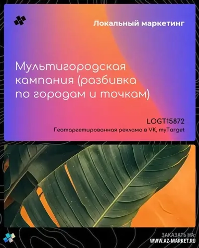 Мультигородская кампания (разбивка по городам и точкам)