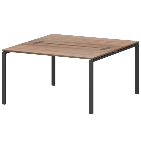 Бенч двойной на 2 рабочих места АМБ-004  1600x1496x760 Арго-М