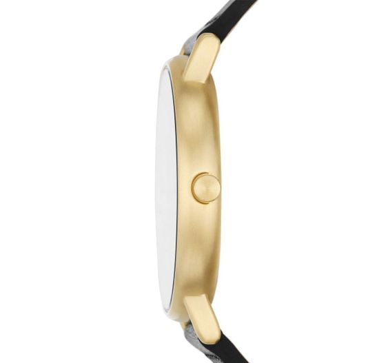 Мужские часы Skagen SKW6897