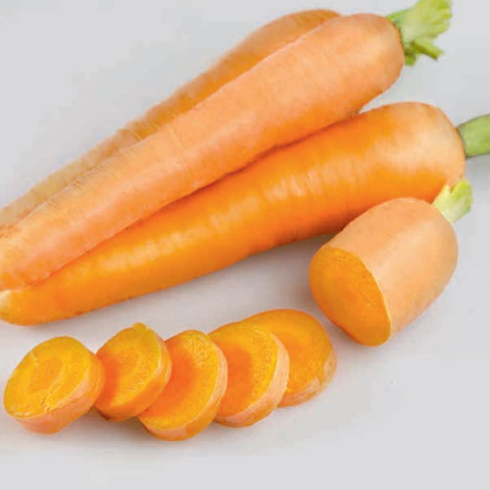 Карибоу F1 семена моркови нантской (Seminis / Семинис)