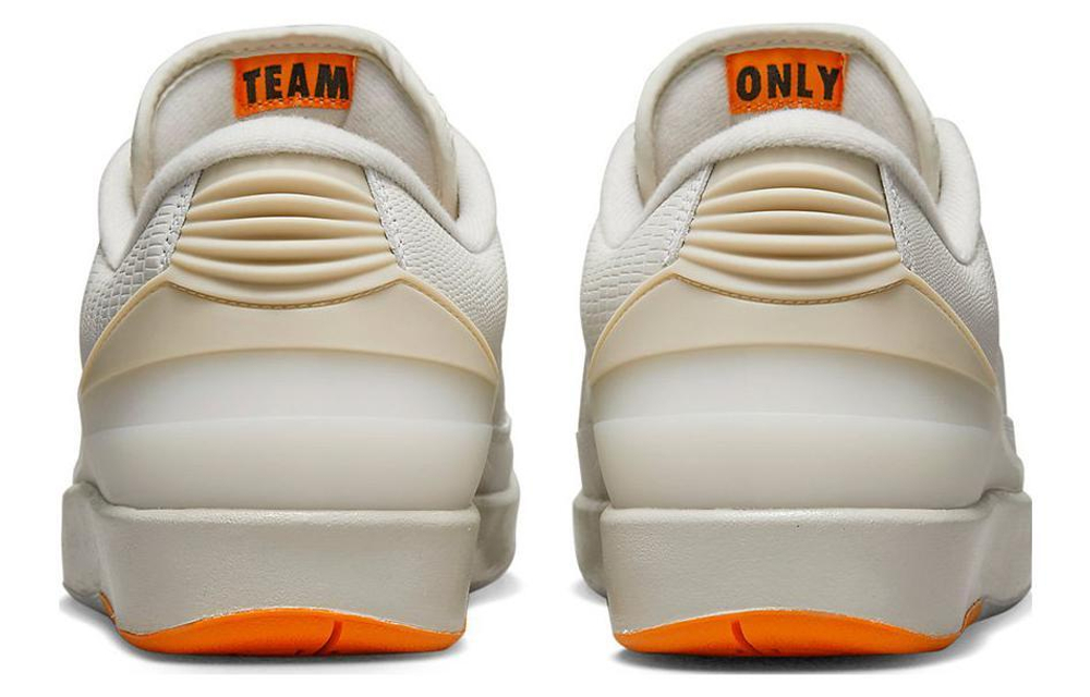 Кроссовки Shelflife X Jordan Air Jordan 2 Retro Low