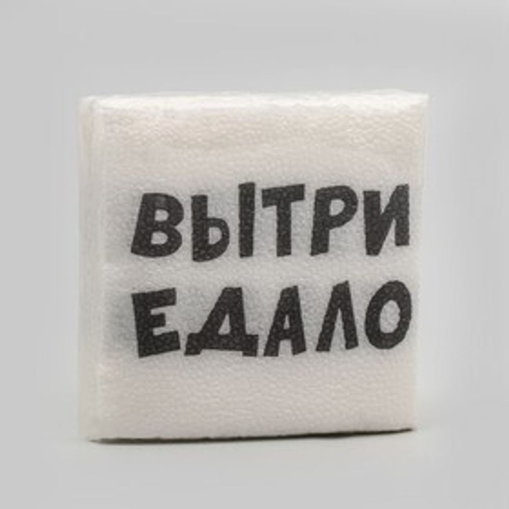 Салфетки бумажные однослойные Гармония цвета &quot;Вытри Едало&quot; 24*24 см, 20 шт