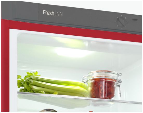 Холодильник Snaige RF57SM-S5RP210 (D91Z1C5SNBX)