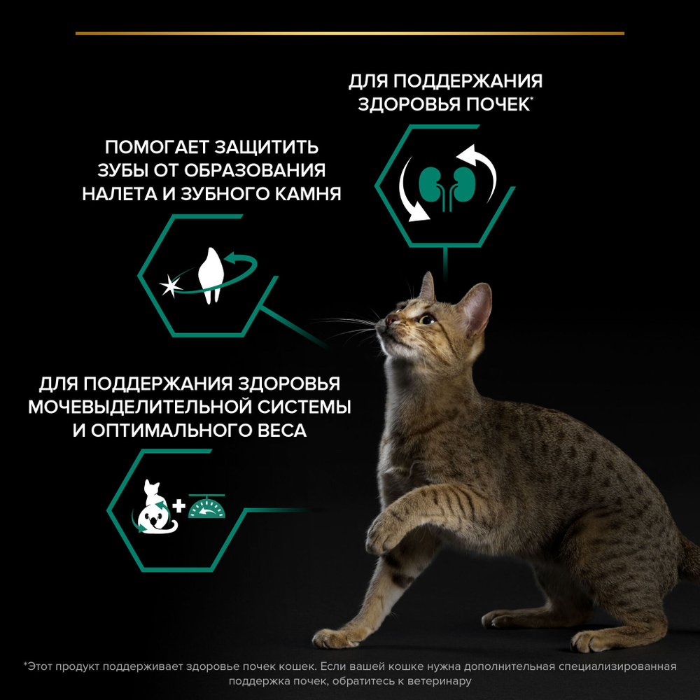 Pro plan корм сухой для взрослых кошек стерилизованных с лососем