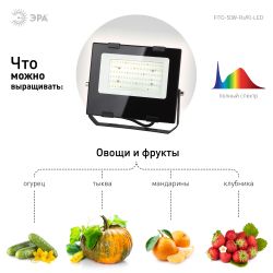 Фитопрожектор для растений светодиодный ЭРА FITO-50W-Ra90-LED для цветения и плодоношения полного спектра 50 Вт