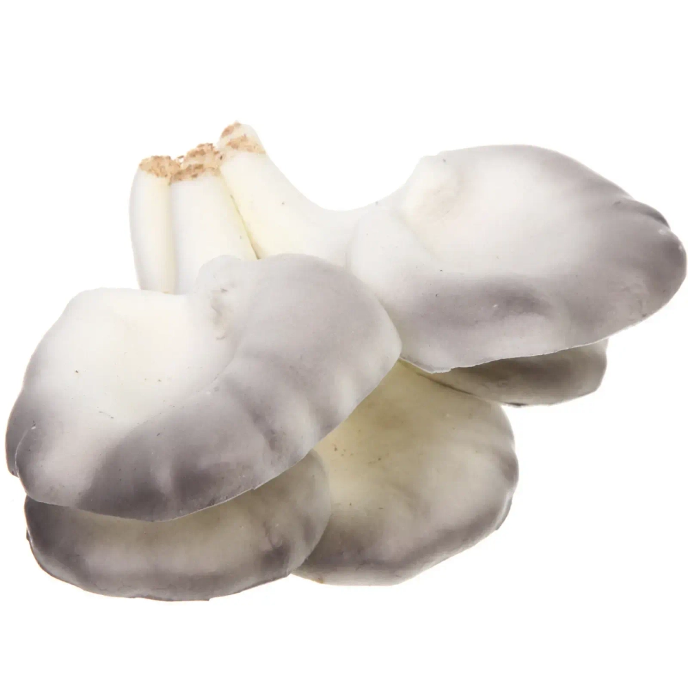 Фигура садовая «Вешенки» 10*14 см, серый