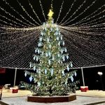 Светодинамическая елка ствольная со скамейкой, встроенная гирлянда: Теплый свет - "Лесная" (Литая хвоя) 14 м