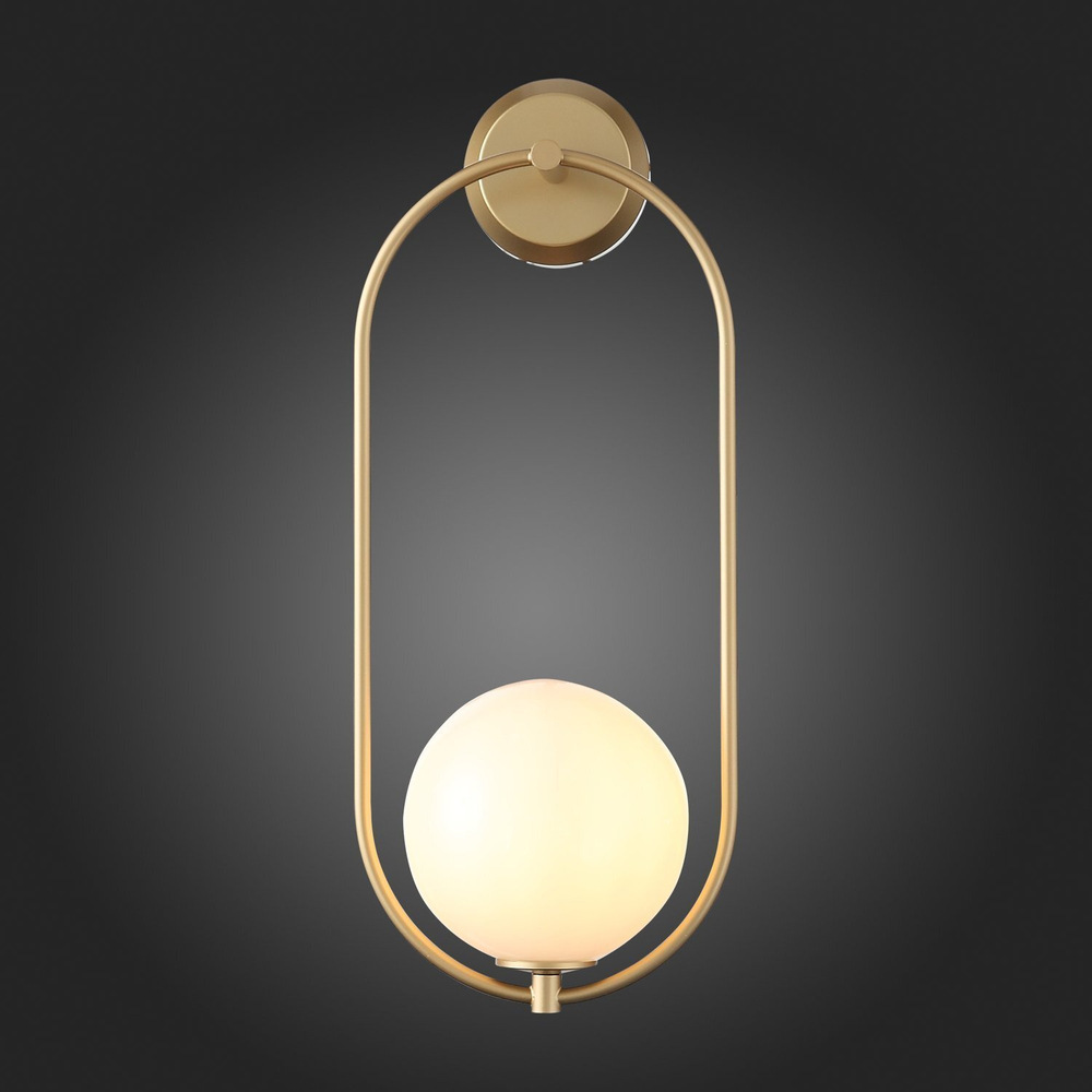 Светильник настенный ST Luce Penolo SL1118.201.01